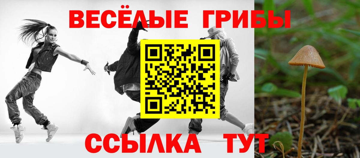 Галлюциногенные грибы GOLDEN TEACHER Фрязино